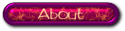 collection de bouton 15 - about